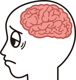 勃起力,改善,高める