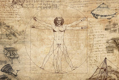 勃起力,改善,高める