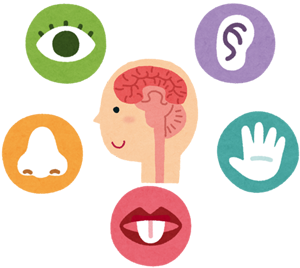 勃起力,改善,高める