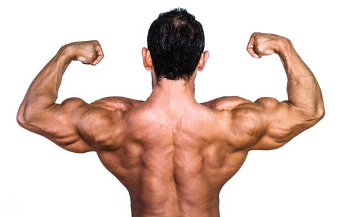 勃起力,改善,高める